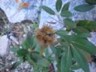 evolutionbasintrip533_small.jpg