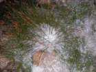 evolutionbasintrip313_small.jpg