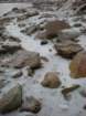 evolutionbasintrip319_small.jpg