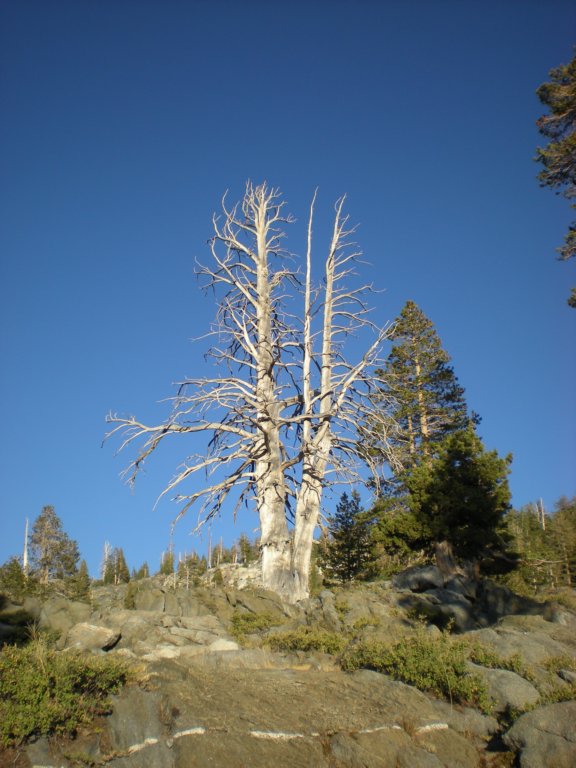 tenlakes010.jpg