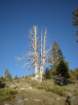 tenlakes010_small.jpg