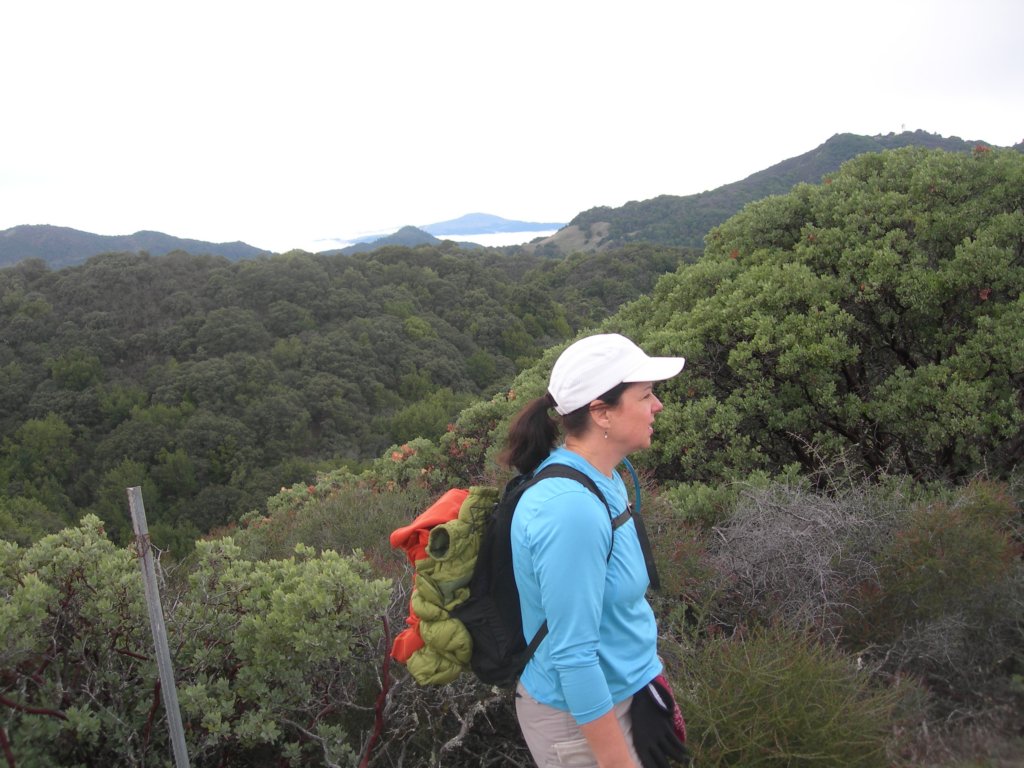 baldmountainsonoma14.jpg