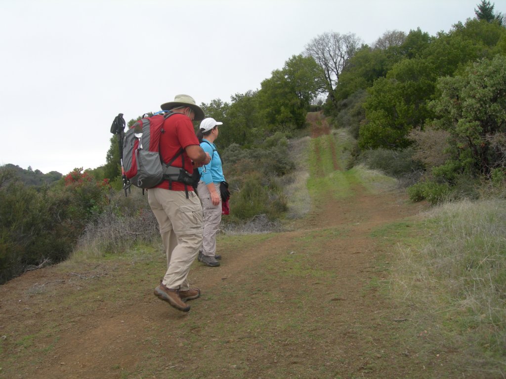 baldmountainsonoma18.jpg