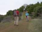 baldmountainsonoma19_small.jpg