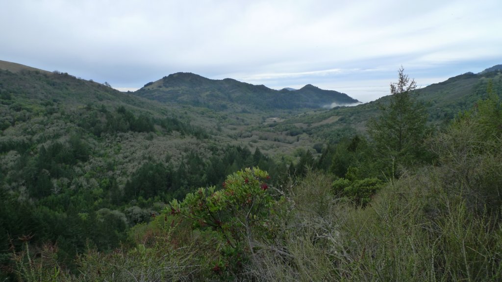 baldmountainsonoma4.jpg