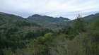 baldmountainsonoma4_small.jpg
