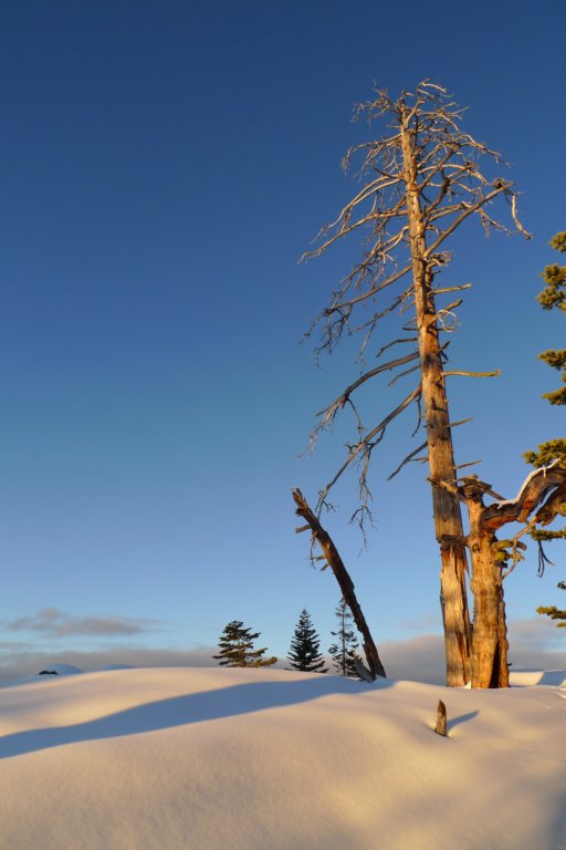newyearbackpack036.jpg