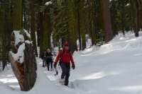 newyearbackpack115_small.jpg