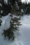 newyearbackpack139_small.jpg