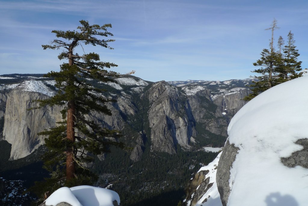 newyearbackpack164.jpg