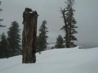 newyearsnowcamp004_small.jpg