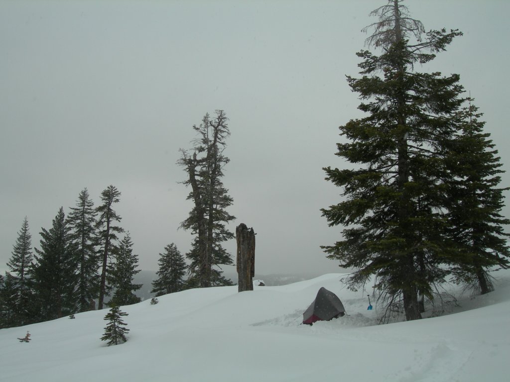 newyearsnowcamp021.jpg