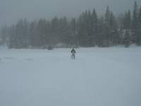 kirkwood002_small.jpg