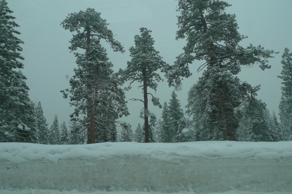 kirkwood012.jpg