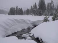 kirkwood029_small.jpg