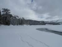 kirkwood041_small.jpg
