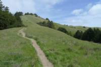 kirkwood041_small.jpg