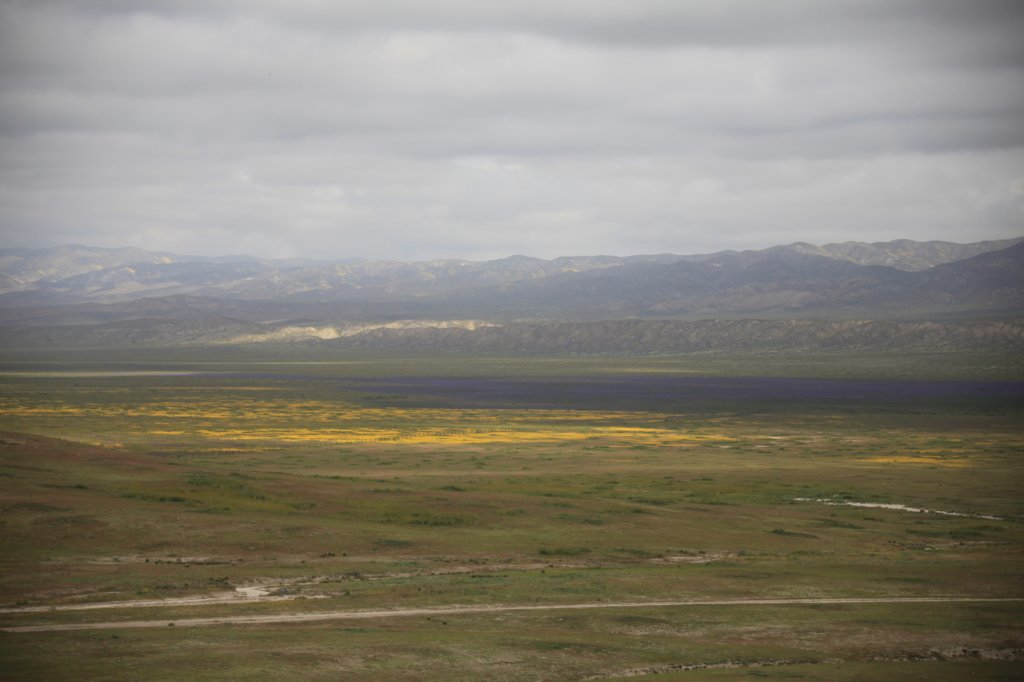 _mg_6182.jpg