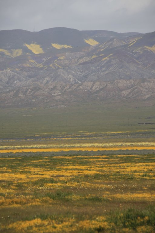 _mg_6242.jpg
