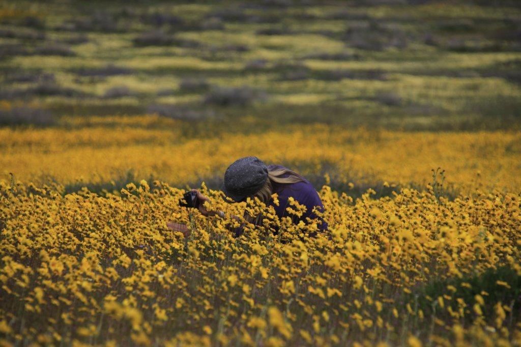 _mg_6304.jpg
