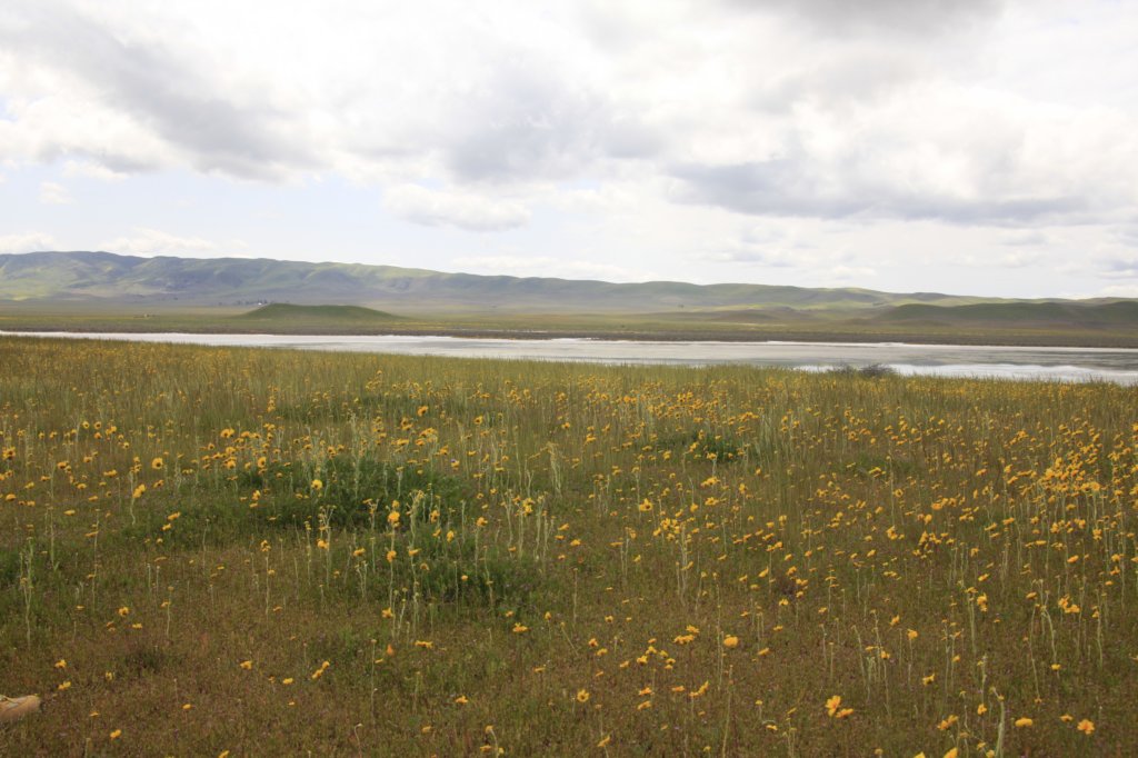 _mg_6324.jpg