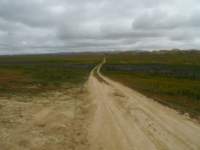carizzoplains146_small.jpg
