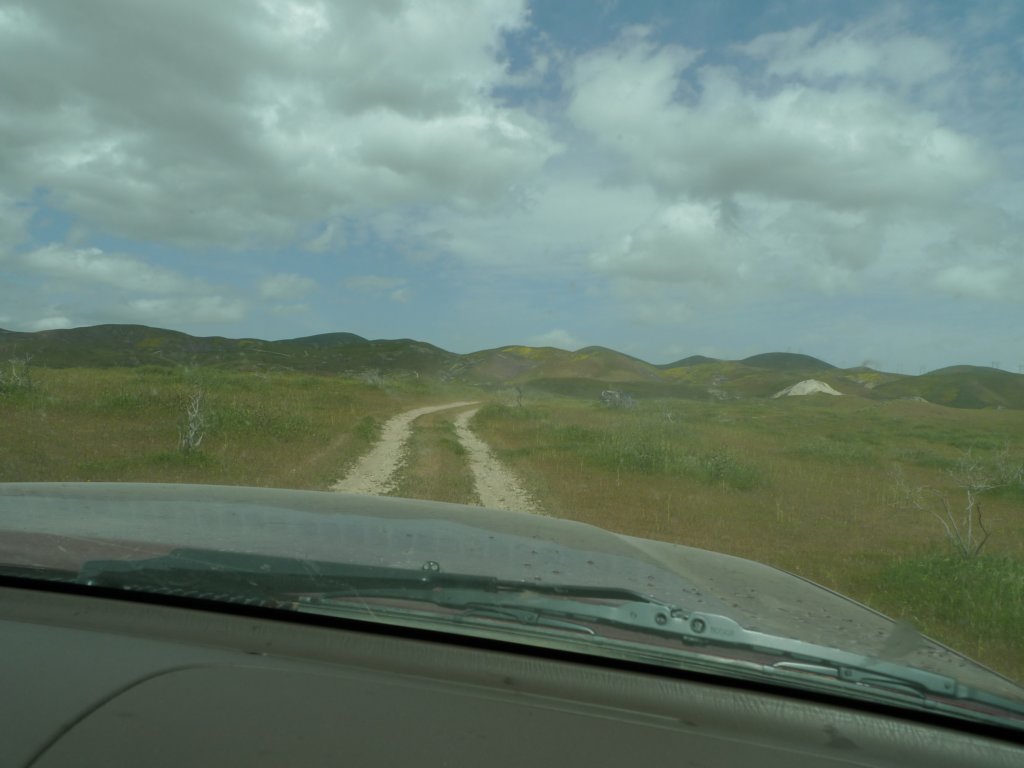 carizzoplains299.jpg