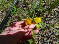 cachecreek005_small.jpg