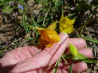cachecreek007_small.jpg