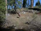 hetchhetchy117_small.jpg