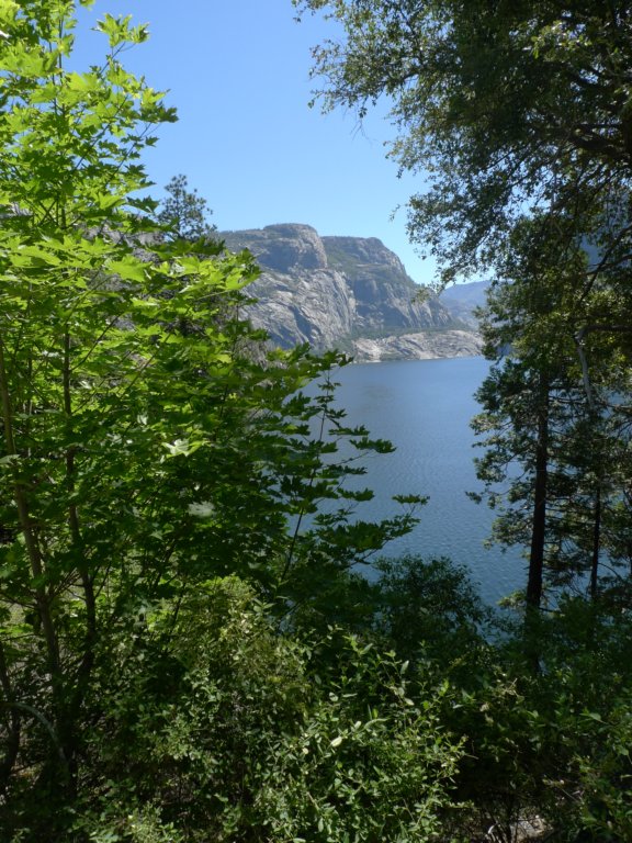 hetchhetchy275.jpg