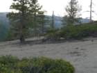 julyfourth226_small.jpg