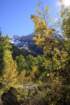 _mg_9717_small.jpg