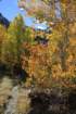 _mg_9734_small.jpg