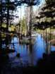 californiafall2010200_small.jpg