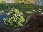 californiafall2010202_small.jpg