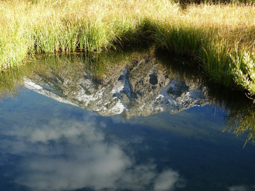 californiafall2010225.jpg