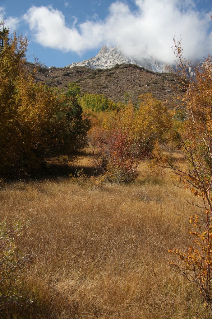 IMG_9899.JPG