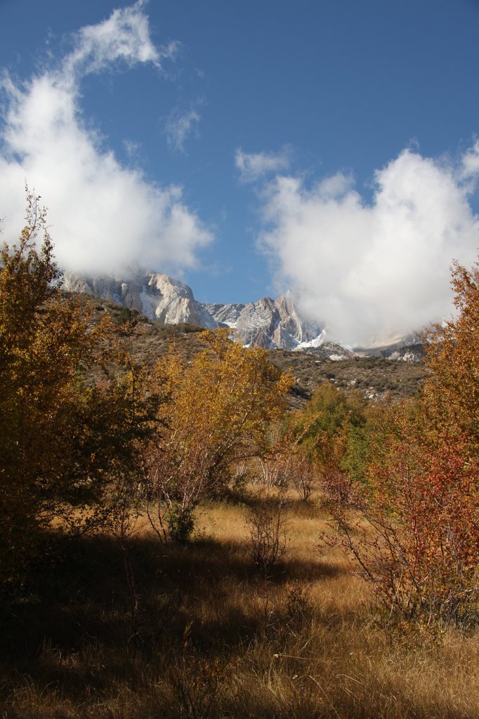 IMG_9900.JPG