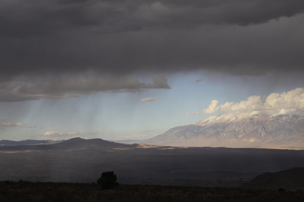 _MG_9822.JPG