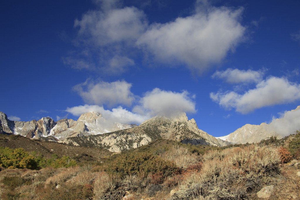 _MG_9860.JPG