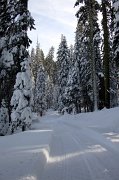 IMG_0040