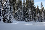 IMG_0043