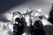 IMG_0063