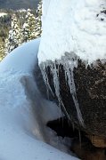 IMG_0081