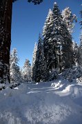 IMG_0108