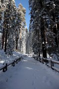 IMG_0119