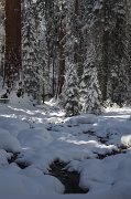 IMG_0131