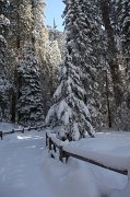 IMG_0133