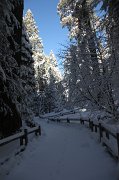 IMG_0151